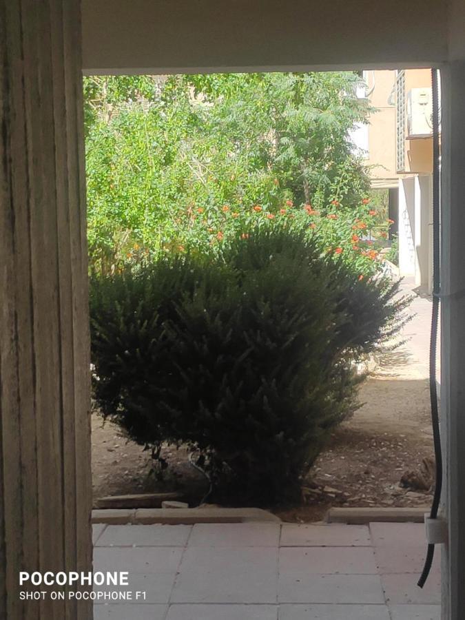 סוויטה של אלון Apartment Арад Екстериор снимка